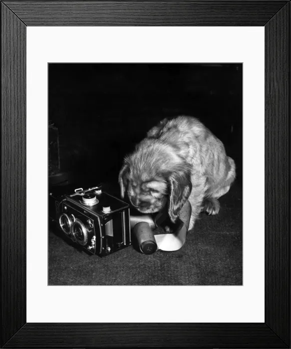 Framed Print : Susi - with camera and roll of film Framed Print : Susi - with camera and roll of film