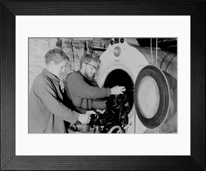 Framed Print : Tessyman family, seaweed farmers, Dartmouth, Devon Framed Print : Tessyman family, seaweed farmers, Dartmouth, Devon
