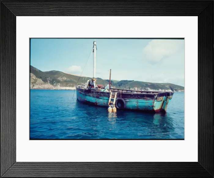 Framed Print : Tessyman family, seaweed farmers, Dartmouth, Devon Framed Print : Tessyman family, seaweed farmers, Dartmouth, Devon