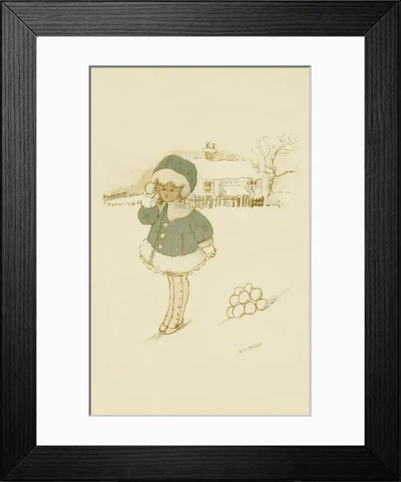 Framed Print : Hydatina physis, rose-petal bubble shell Framed Print : Hydatina physis, rose-petal bubble shell