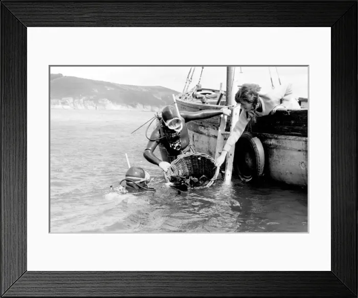 Framed Print : Tessyman family, seaweed farmers, Dartmouth, Devon Framed Print : Tessyman family, seaweed farmers, Dartmouth, Devon