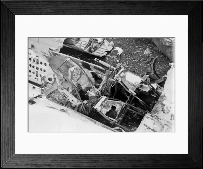 Framed Print : Air crash investigation sniffer dog Framed Print : Air crash investigation sniffer dog