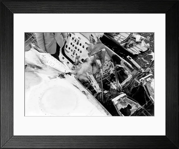 Framed Print : Air crash investigation sniffer dog Framed Print : Air crash investigation sniffer dog