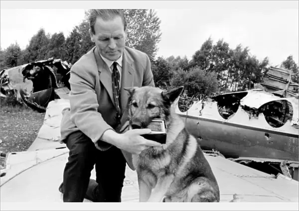 Air crash investigator with sniffer dog