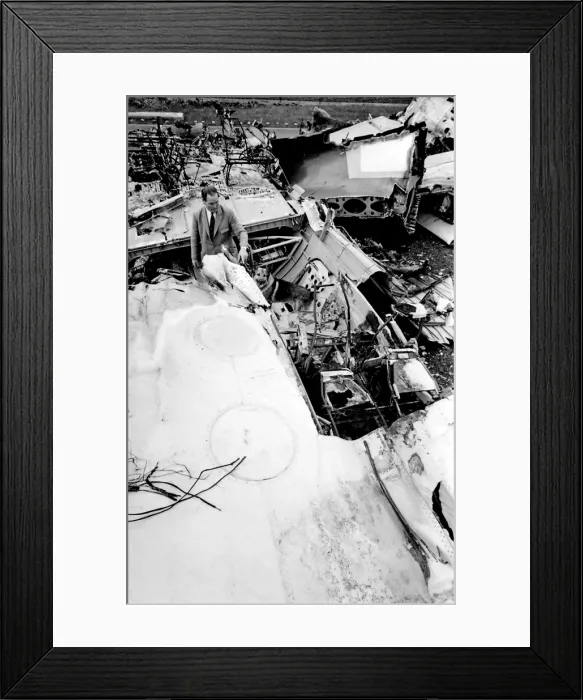 Framed Print : Air crash investigator with sniffer dog Framed Print : Air crash investigator with sniffer dog