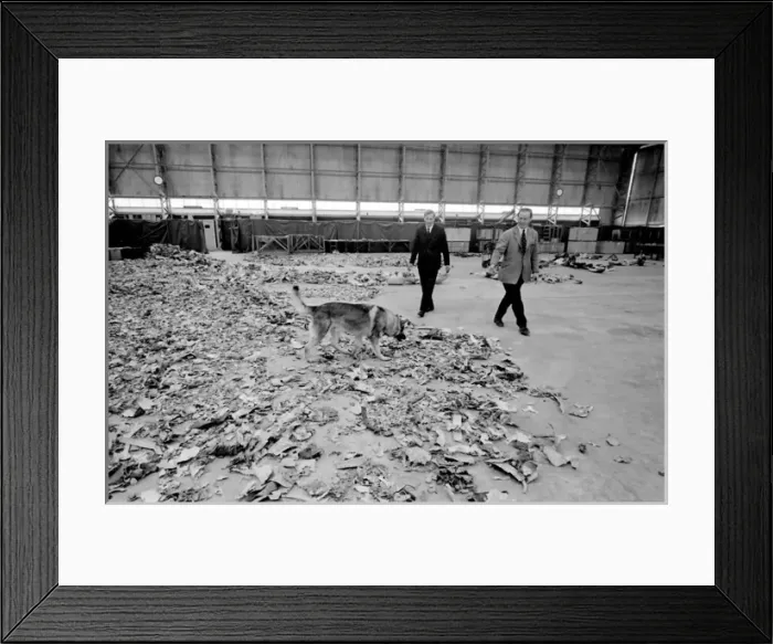 Framed Print : Air crash investigators with sniffer dog Framed Print : Air crash investigators with sniffer dog