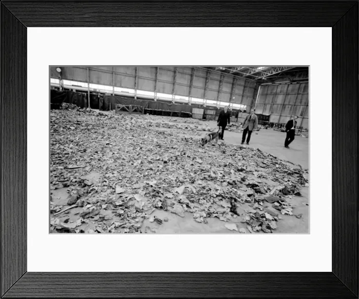Framed Print : Air crash investigators with sniffer dog Framed Print : Air crash investigators with sniffer dog