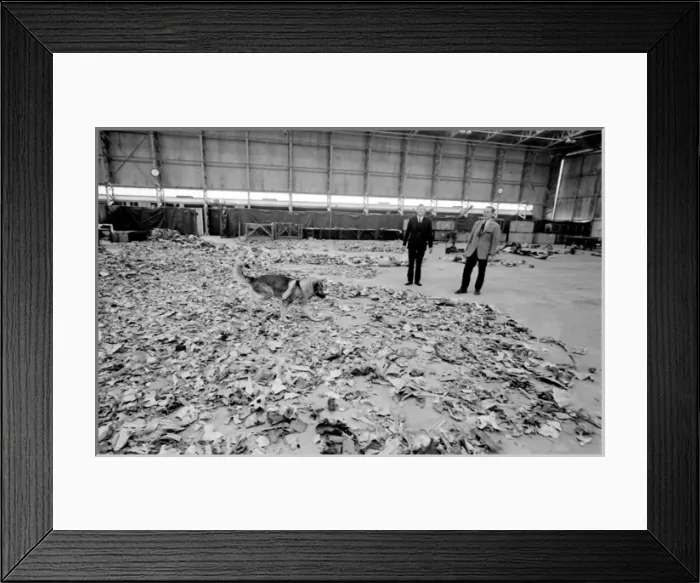 Framed Print : Air crash investigators with sniffer dog Framed Print : Air crash investigators with sniffer dog