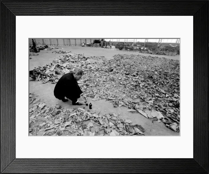 Framed Print : Air crash investigator at work Framed Print : Air crash investigator at work