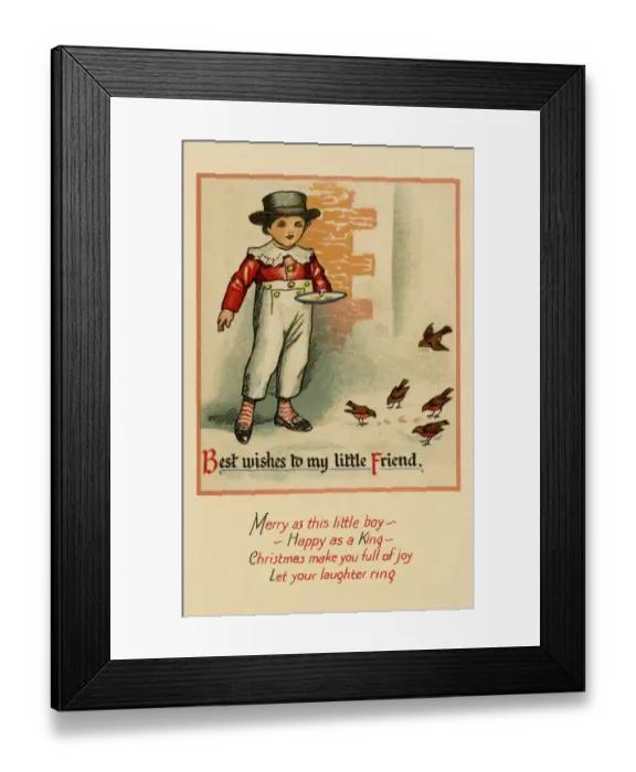 Framed Print : Feeding the birds Framed Print : Feeding the birds