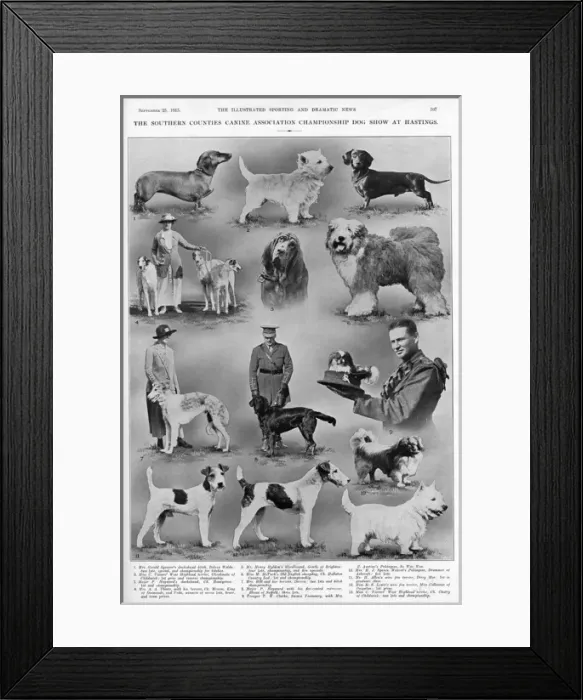 Framed Print : Dog show at Hastings Framed Print : Dog show at Hastings