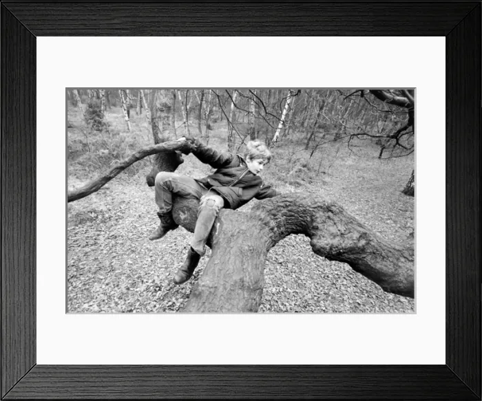 Framed Print : Mark Lester, child star Framed Print : Mark Lester, child star