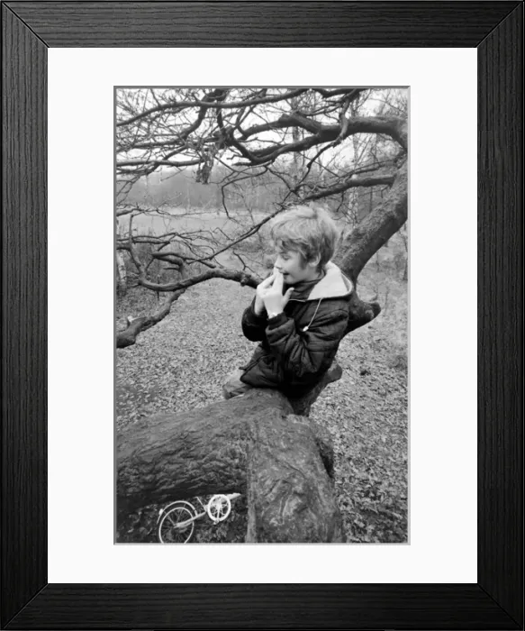 Framed Print : Mark Lester, child star Framed Print : Mark Lester, child star