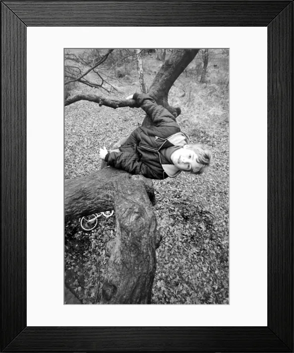 Framed Print : Mark Lester, child star Framed Print : Mark Lester, child star