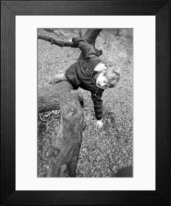 Framed Print : Mark Lester, child star Framed Print : Mark Lester, child star