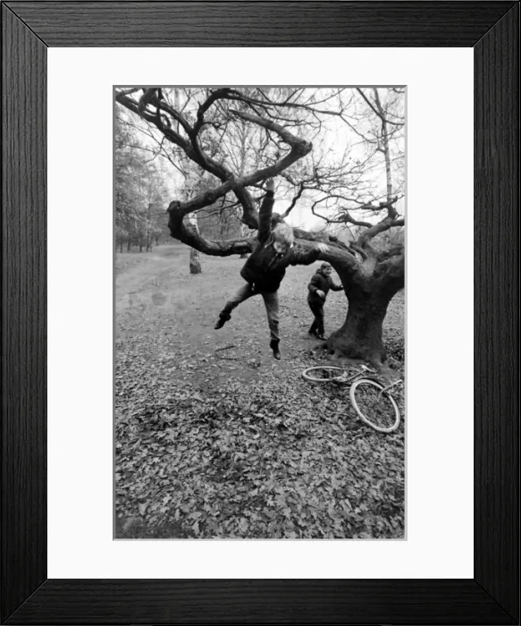 Framed Print : Mark Lester, child star Framed Print : Mark Lester, child star