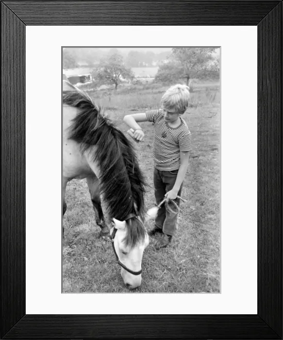 Framed Print : Mark Lester, child star Framed Print : Mark Lester, child star