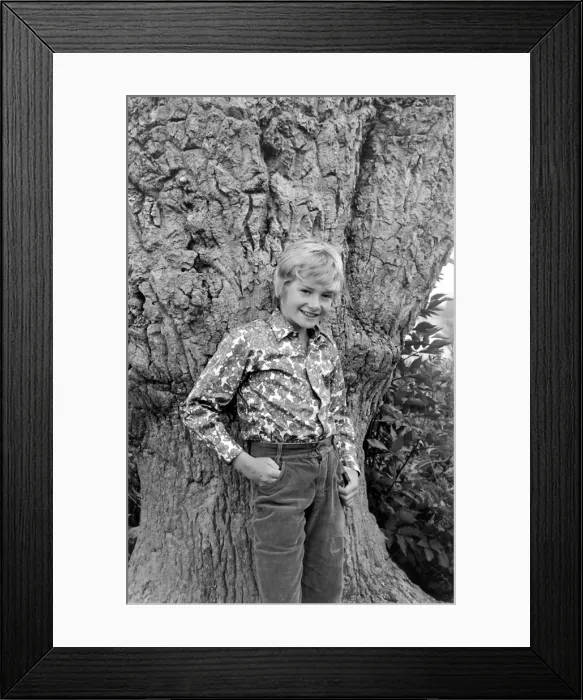 Framed Print : Mark Lester, child star Framed Print : Mark Lester, child star