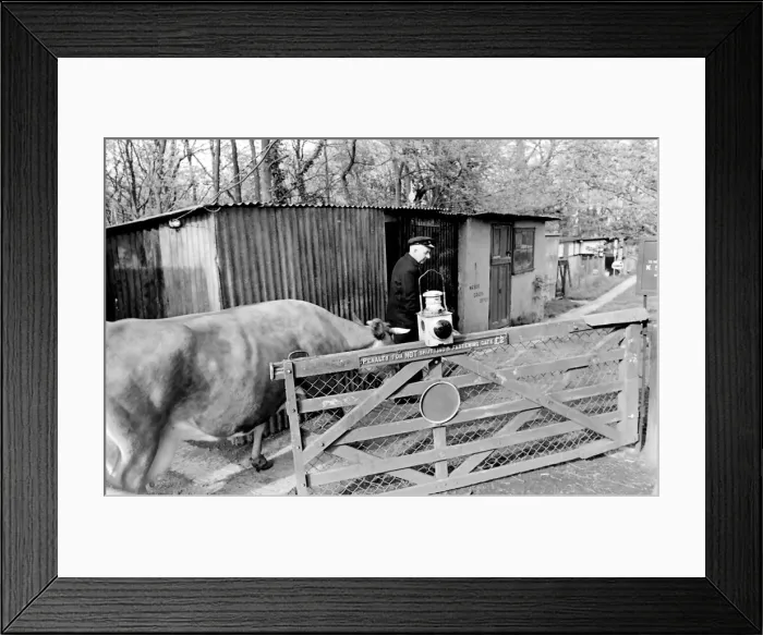 Framed Print : Railway enthusiast couple in Essex Framed Print : Railway enthusiast couple in Essex