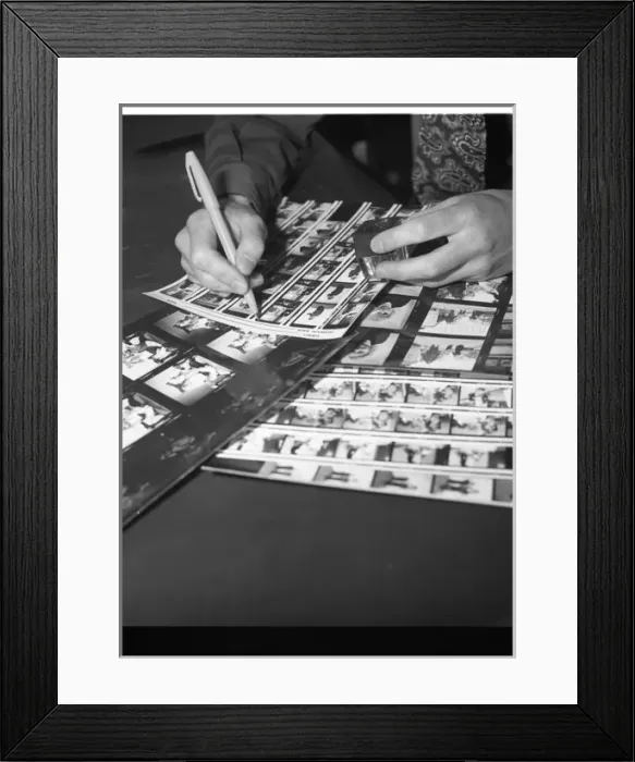 Framed Print : Photographer at work Framed Print : Photographer at work