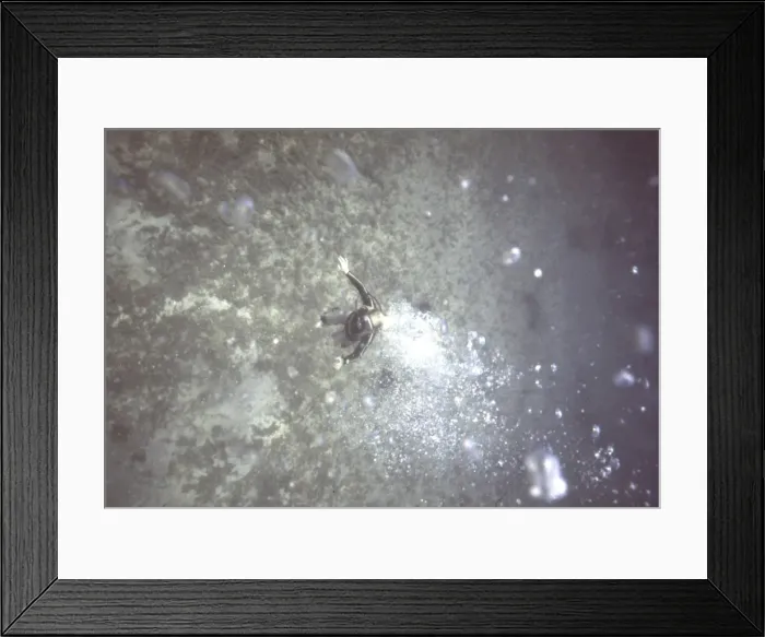 Framed Print : Diver ascending from depth in the Mediterranean Framed Print : Diver ascending from depth in the Mediterranean
