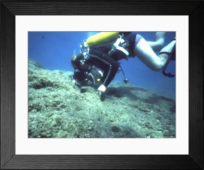Framed Print : Diver on the seabed off the coast of Malta Framed Print : Diver on the seabed off the coast of Malta
