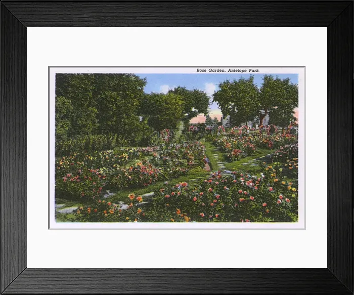 Framed Print : Rose Garden, Antelope Park, Lincoln, Nebraska, USA Framed Print : Rose Garden, Antelope Park, Lincoln, Nebraska, USA