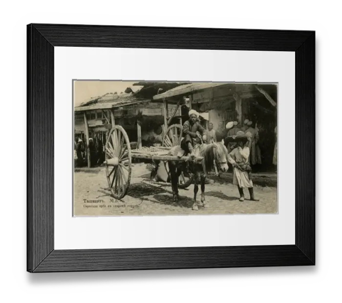 Framed Print : Tashkent, Uzbekistan - Local Man with Traditional Arba Cart Framed Print : Tashkent, Uzbekistan - Local Man with Traditional Arba Cart