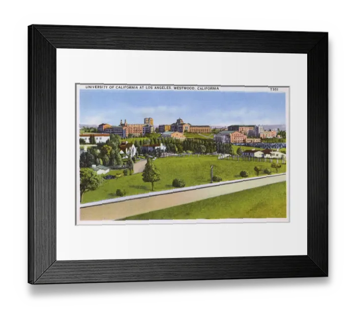 Framed Print : University of California, Westwood, Los Angeles, USA Framed Print : University of California, Westwood, Los Angeles, USA