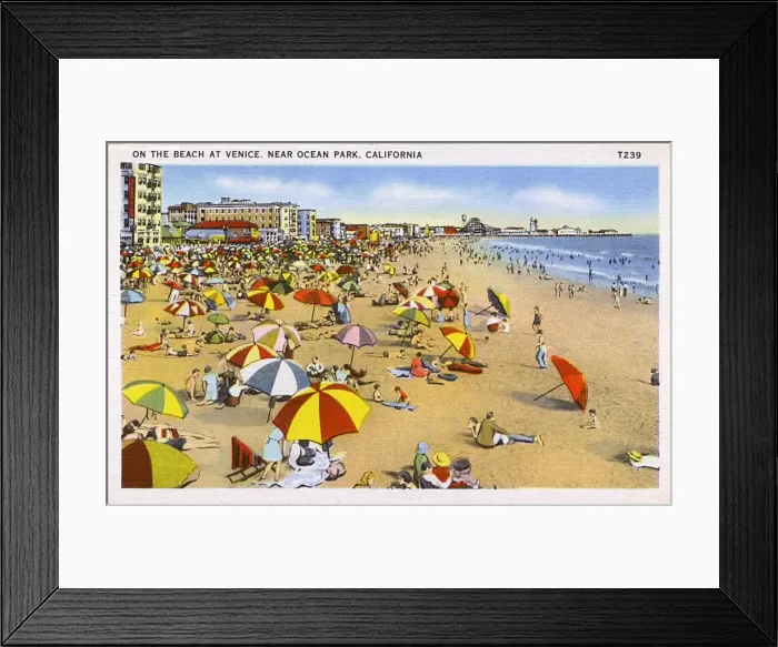 Framed Print : Venice Beach, near Ocean Park, Los Angeles, USA Framed Print : Venice Beach, near Ocean Park, Los Angeles, USA