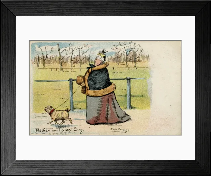 Framed Print : The Mother-in-Laws dog Framed Print : The Mother-in-Laws dog