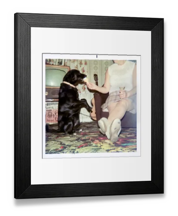 Framed Print : Woman feeding a dog ice cream in 1970s living room Framed Print : Woman feeding a dog ice cream in 1970s living room