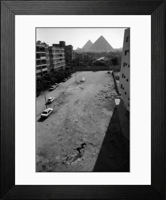 Framed Print : Cairo suburb, Egypt - pyramids and runaway horse Framed Print : Cairo suburb, Egypt - pyramids and runaway horse