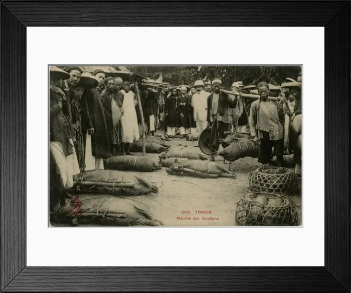 Framed Print : Vietnam - Pig market Framed Print : Vietnam - Pig market