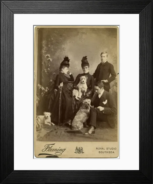 Framed Print : Studio portrait, family of four with three terrier dogs Framed Print : Studio portrait, family of four with three terrier dogs
