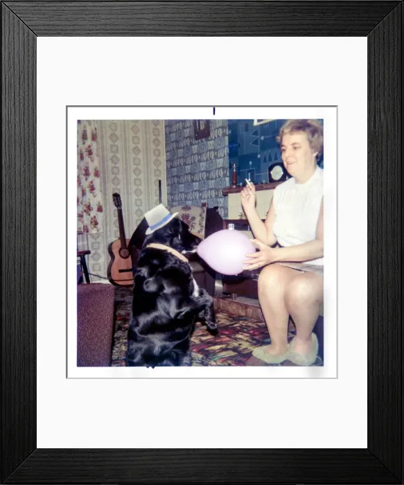 Framed Print : Dog with a hat and balloon in a 1970s living room Framed Print : Dog with a hat and balloon in a 1970s living room