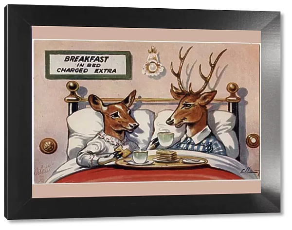 Two Deer enjoy Breakfast in Bed (charged extra)