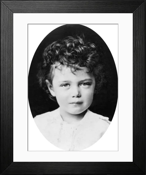 Framed Print : Tsesarevich Nicholas of Russia, later Tsar Nicholas II Framed Print : Tsesarevich Nicholas of Russia, later Tsar Nicholas II