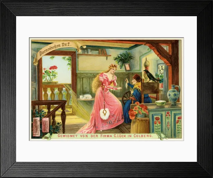 Framed Print : The Sleeping Beauty Framed Print : The Sleeping Beauty