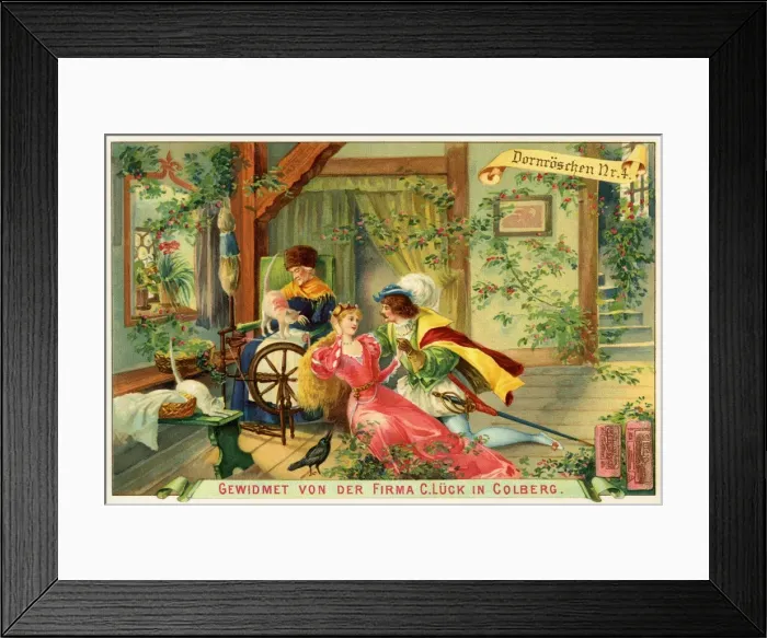 Framed Print : The Sleeping Beauty Framed Print : The Sleeping Beauty