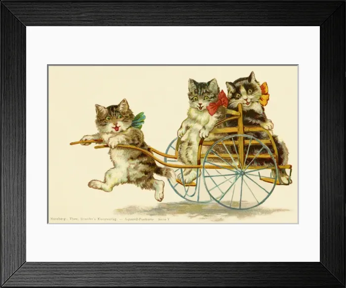 Framed Print : Cats in a cart Framed Print : Cats in a cart
