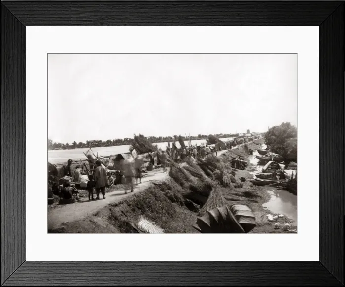Framed Print : Drying reeds on a riverbank, China circa 1880s Framed Print : Drying reeds on a riverbank, China circa 1880s