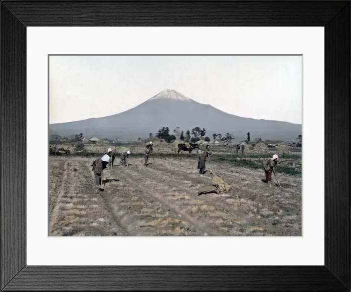 Framed Print : Farmers at the foot of Mount Fuji, Japan, circa 1880s Framed Print : Farmers at the foot of Mount Fuji, Japan, circa 1880s