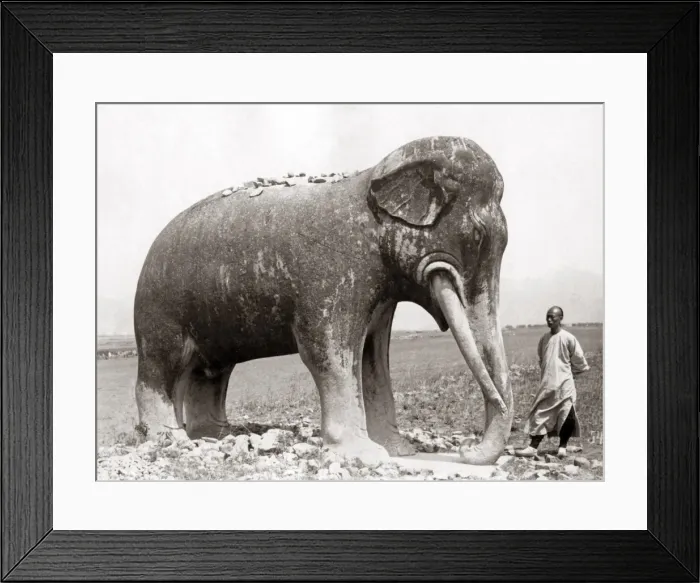 Framed Print : Stone elephant, Ming Tombs, China, circa 1890 Framed Print : Stone elephant, Ming Tombs, China, circa 1890