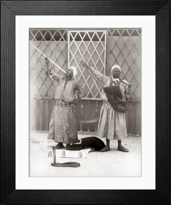 Framed Print : Snake charmers, Egypt, circa 1890 Framed Print : Snake charmers, Egypt, circa 1890
