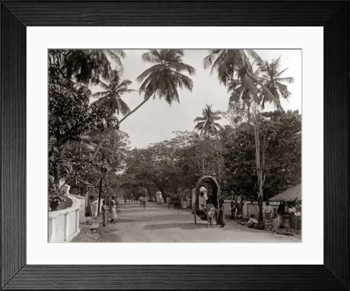 Framed Print : Street scene, Ceylon, Sri Lanka, circa 1890 Framed Print : Street scene, Ceylon, Sri Lanka, circa 1890