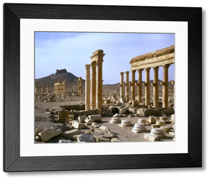 Framed Print : Palmyra, Syria - The Colonnade with view of Arab Castle Framed Print : Palmyra, Syria - The Colonnade with view of Arab Castle