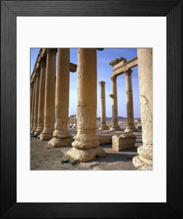Framed Print : Palmyra, Syria - The Colonnade (close-up) Framed Print : Palmyra, Syria - The Colonnade (close-up)