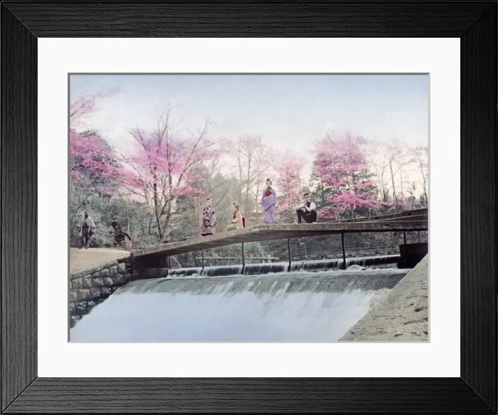 Framed Print : Cherry blossom and weir at Oji, Tokyo, Japan, circa 1890s Framed Print : Cherry blossom and weir at Oji, Tokyo, Japan, circa 1890s