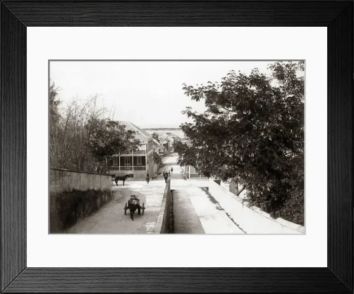 Framed Print : A sterrt in Nassau, Bahams, West Indes, circa 1900 Framed Print : A sterrt in Nassau, Bahams, West Indes, circa 1900